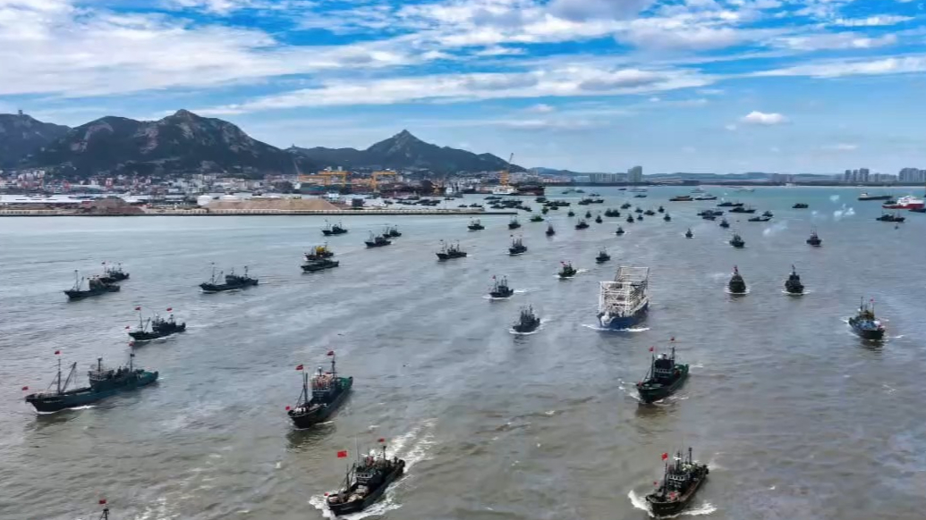 专题|走在前、挑大梁——海上新山东