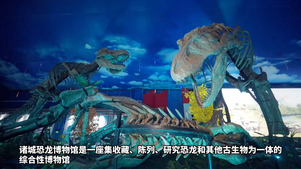 果然视频｜邂逅“巨大诸城龙”，沉浸式游览诸城恐龙博物馆