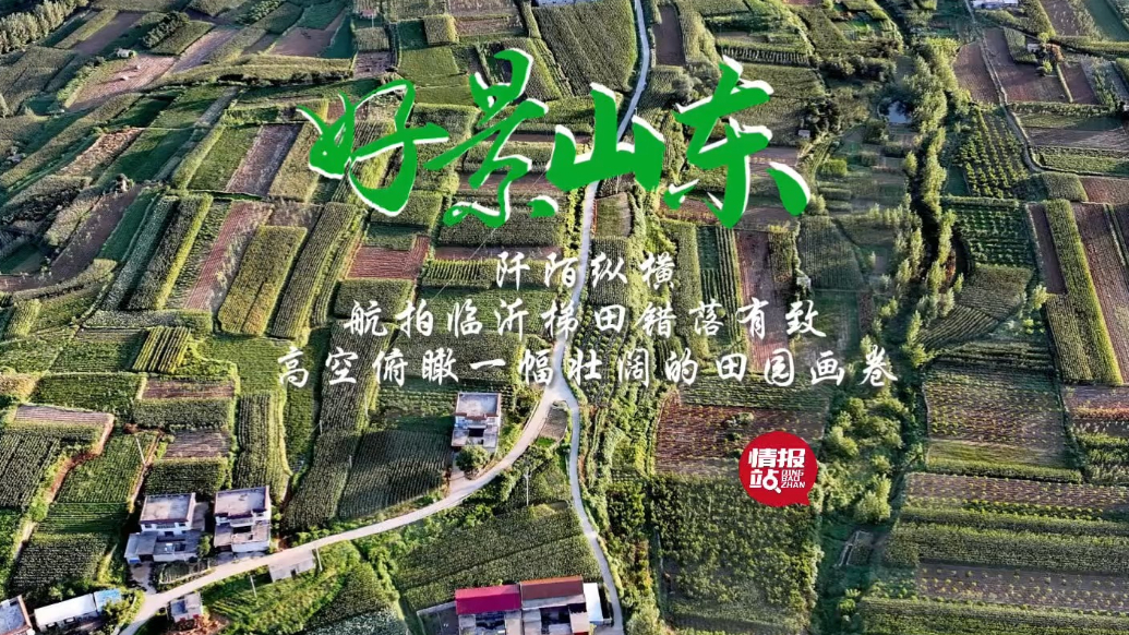 果然视频·好景山东|航拍临沂梯田阡陌纵横，一幅壮阔的田园画卷