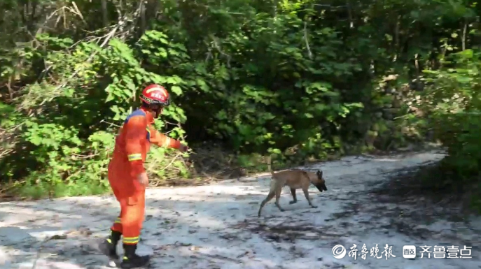 果然视频|老人在山林中迷路被困，人、机、犬协同作战帮其脱困