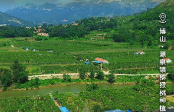 文旅节气海报｜白露凝秋，博山碧玉满枝头，一口酸甜入清秋