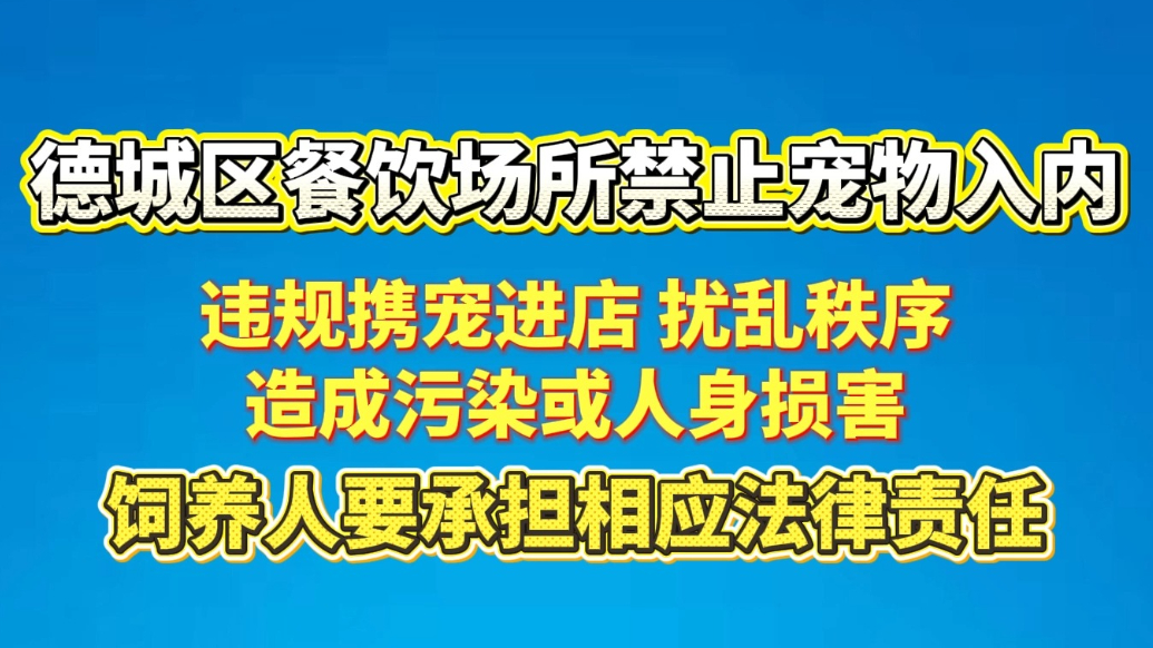 果然视频丨新要求！德城区餐饮场所禁止宠物入内
