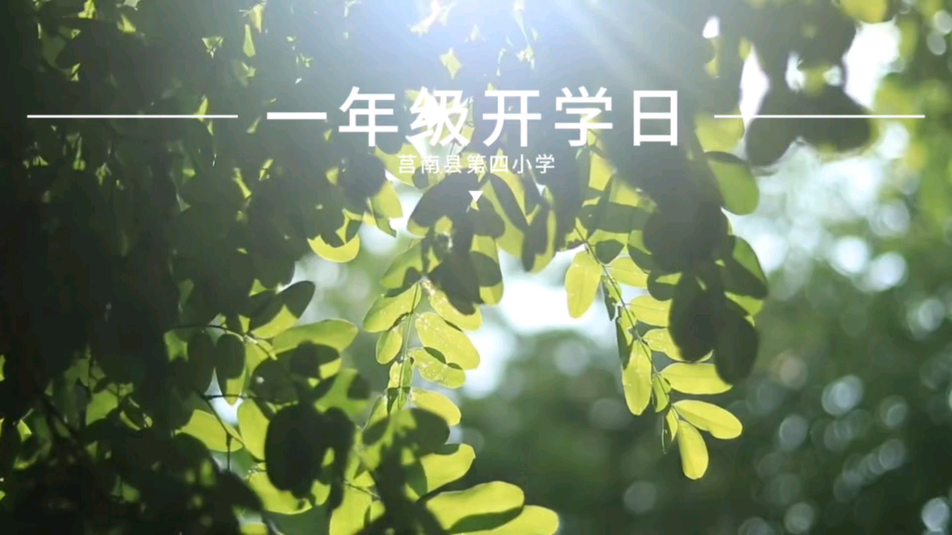 一年级开学日