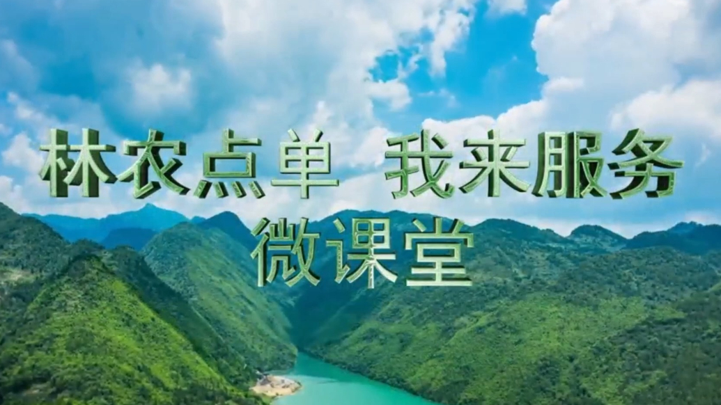 林农点单我来服务微课堂丨徐金光：花木行业转型高质量发展