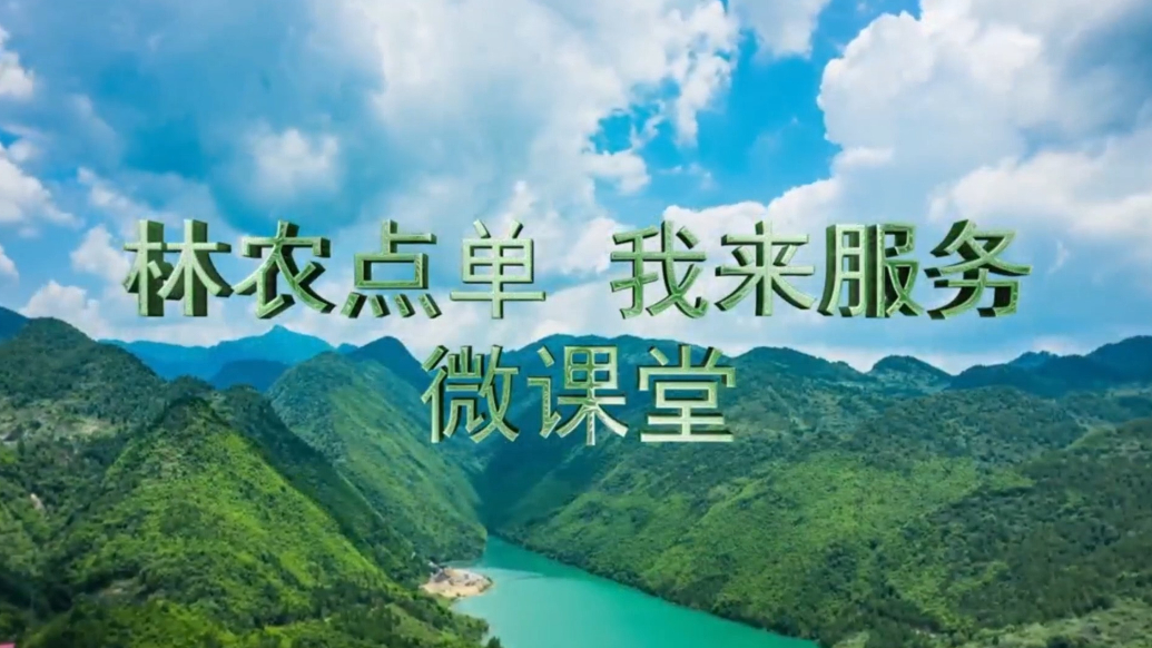 林农点单我来服务微课堂丨邢广萍：日照花卉产业突出问题改善