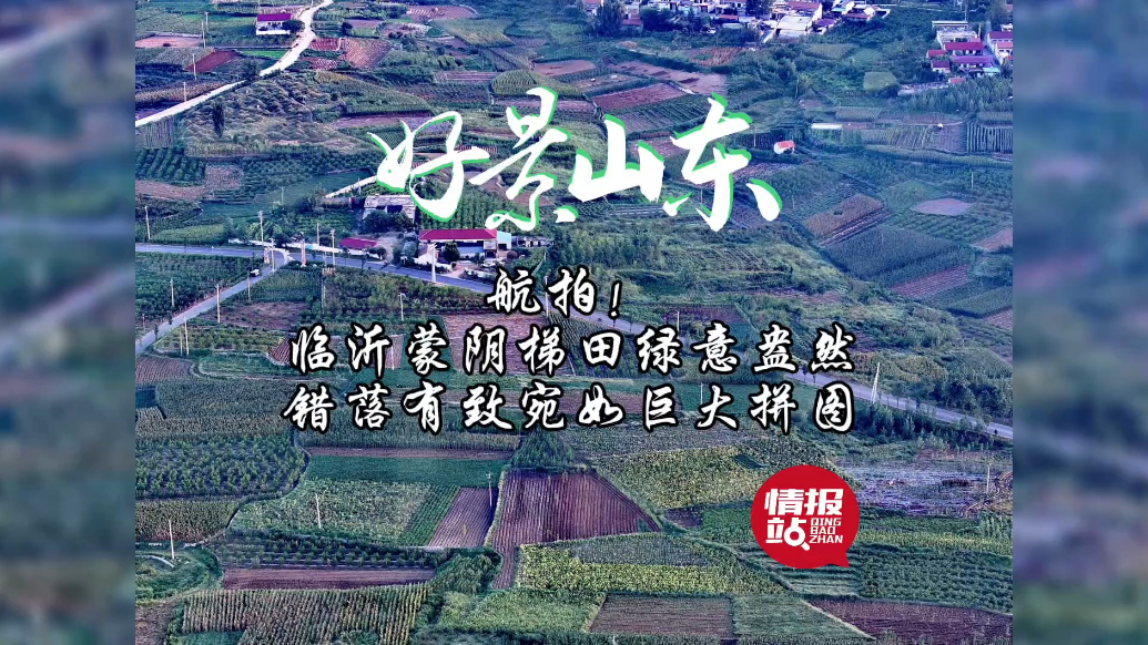 果然视频·好景山东|临沂蒙阴梯田绿意盎然，错落有致如巨大拼图