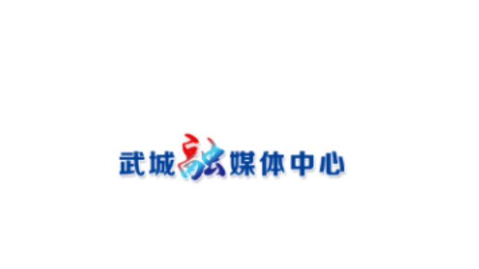 武城——二手车龙头牵线抱团出海 整车汽配协同闯出外贸新路