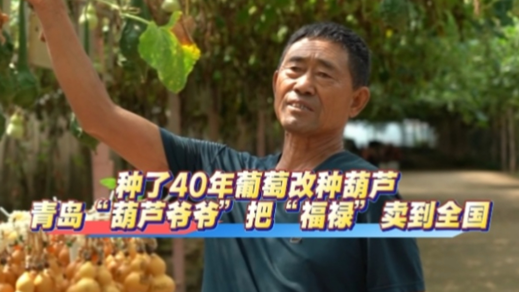 果然视频｜青岛七旬“葫芦爷爷”把“福禄”卖到全国