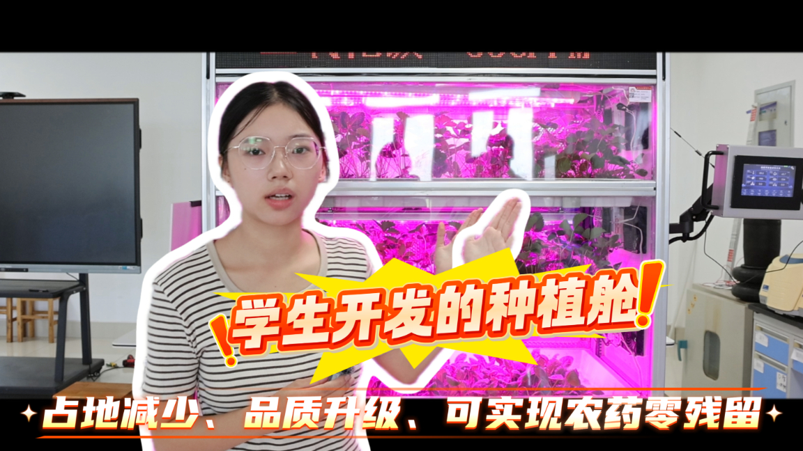 学生开发的种植舱，占地减少、品质升级、可实现农药零残留