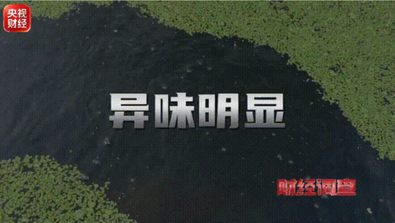 图片加载失败
