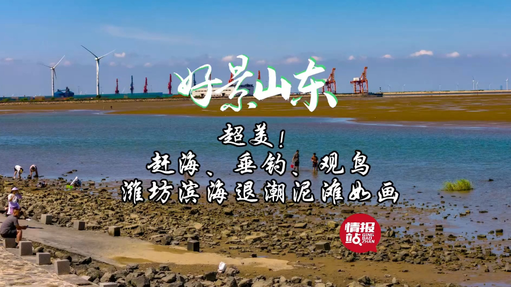 果然视频·好景山东|赶海、垂钓、观鸟！潍坊滨海退潮泥滩美如画