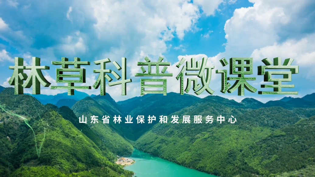 林草科普微课堂丨走进太平山自然保护区