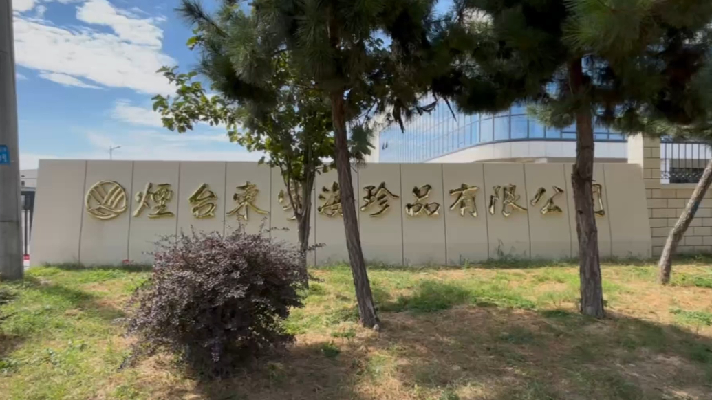 视频|东宇·金汤佛跳墙是怎样熬成的