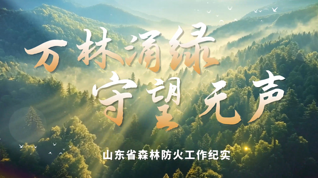 万林涌绿 守望无声｜山东省森林防火工作纪实