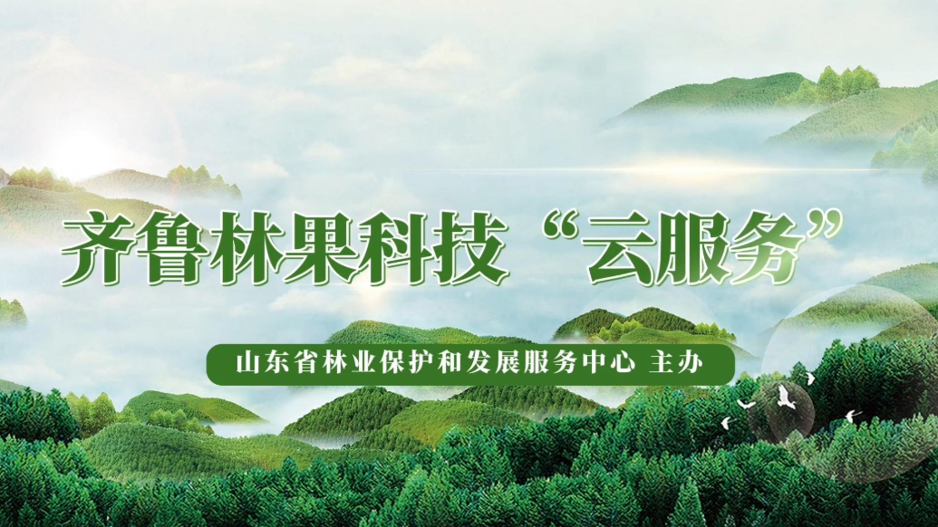 齐鲁林果科技“云服务”丨中国传统插花赏析