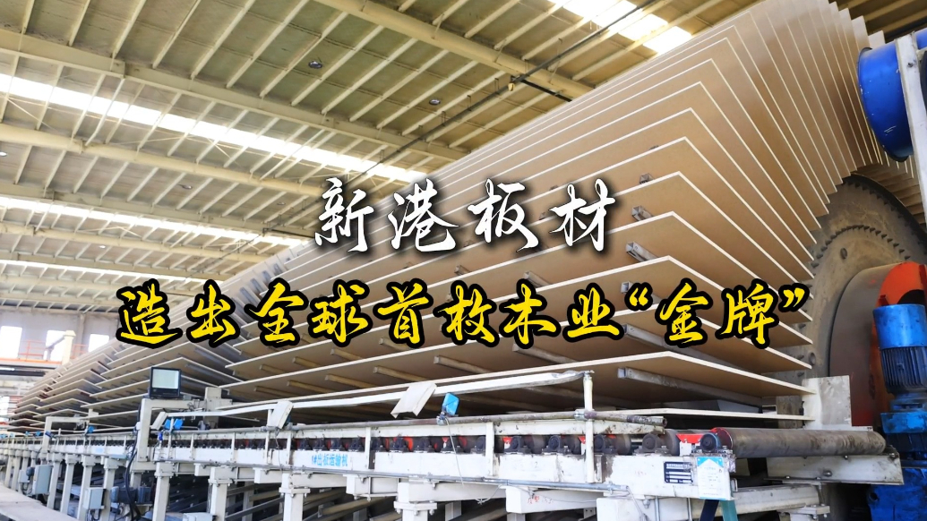 果然视频｜新港板材:造出全球首枚木业“金牌”