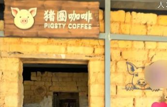猪圈变咖啡馆，乡村文旅不能只靠“猎奇”撑场面