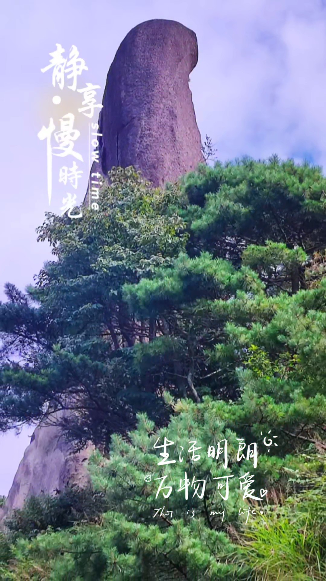 静享时光.万物可爱