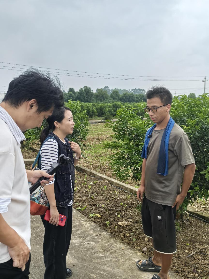田间配送正当时｜双流昱小农：有机种养闭环，筑牢舌尖上的农产品安全