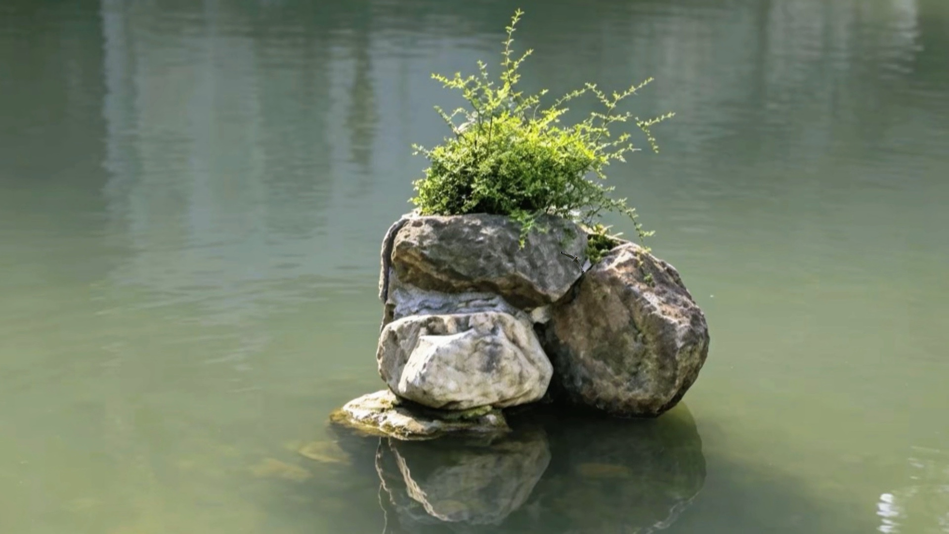 守一方静水，安一颗本心