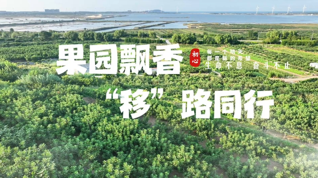 果然视频｜山东移动威海分公司5G直播助力无花果云端热销