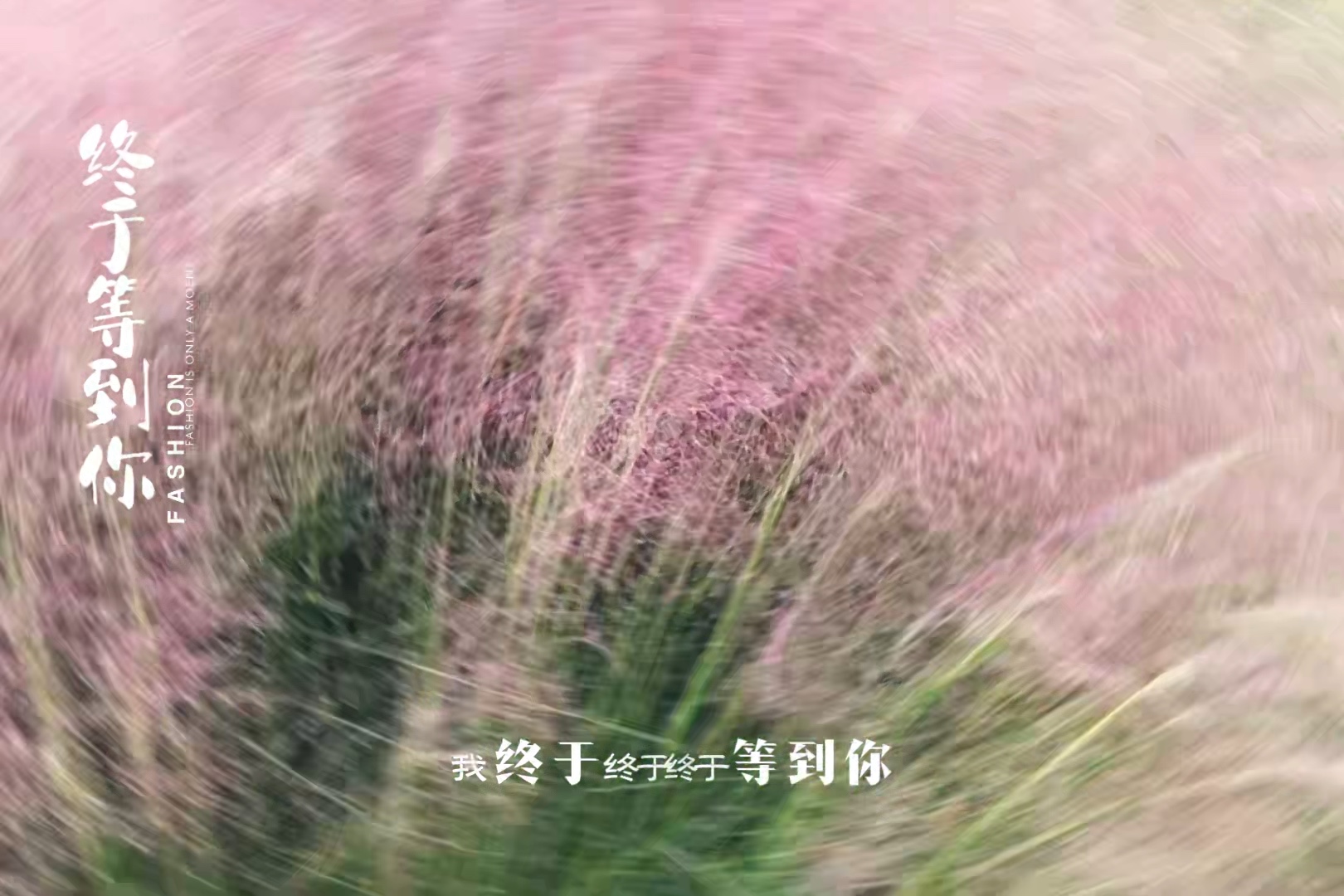 粉色的云落在了泰山脚下君悦山.摄影凤凰