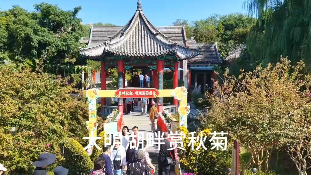 果然视频|大明湖畔赏菊展