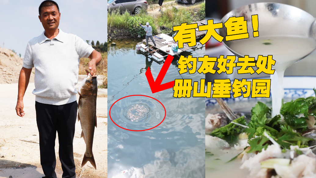 果然视频丨上大鱼！探访册山街道三合塘 深坑地下水养出一塘好鱼