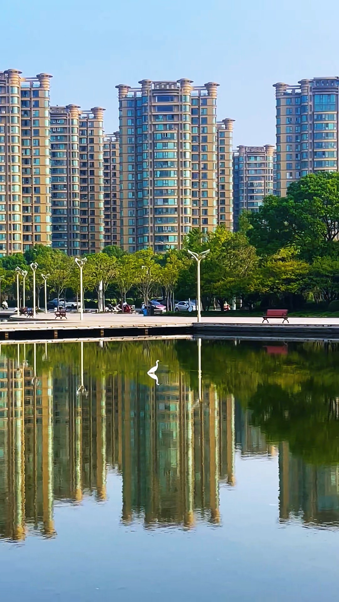 高楼林立，白鹭独闲