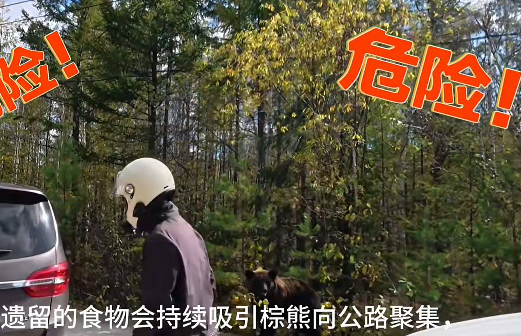 图片加载失败