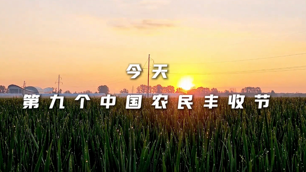 听，丰收的声音！