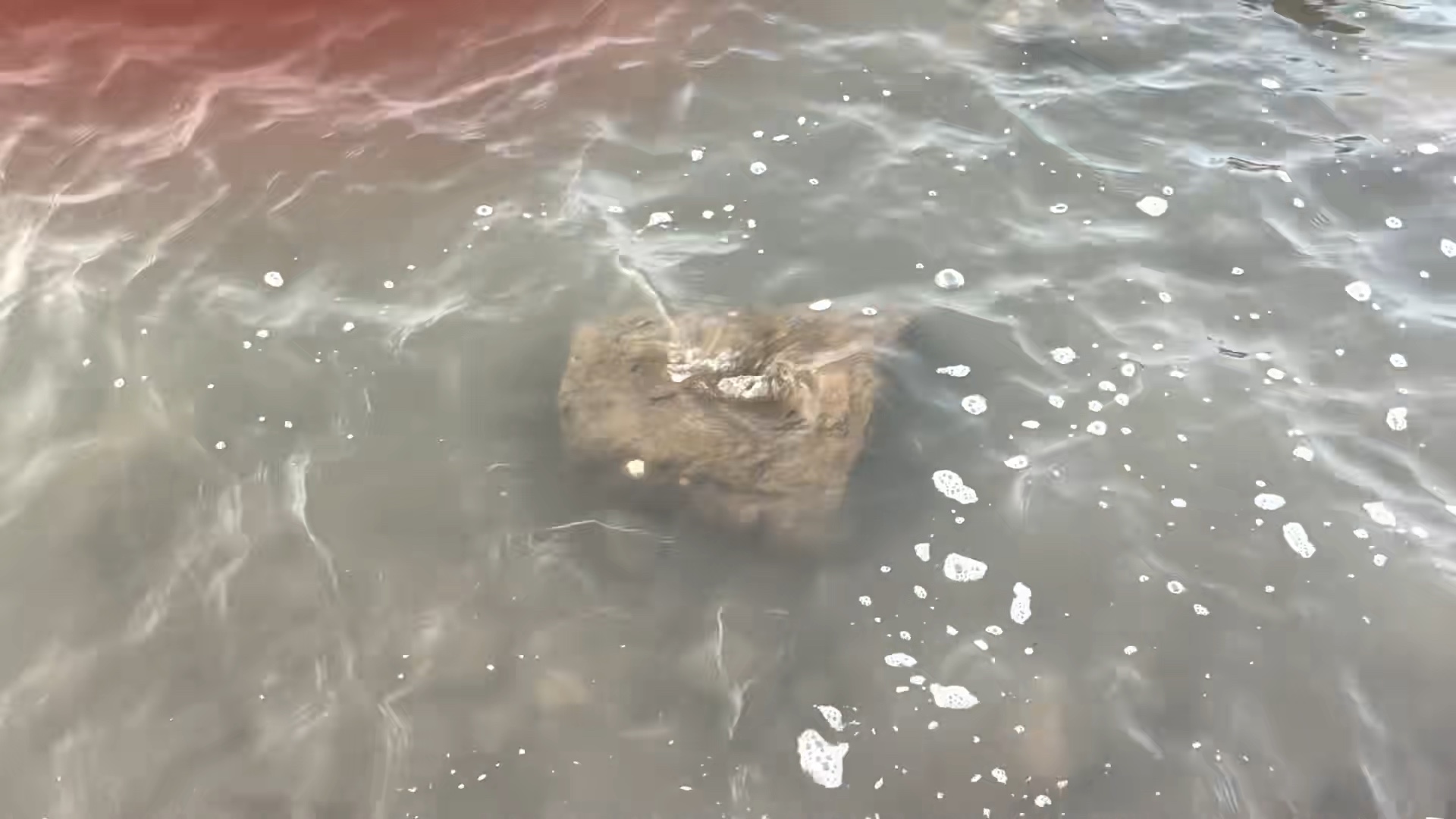 浪击顽石，碎浪成花