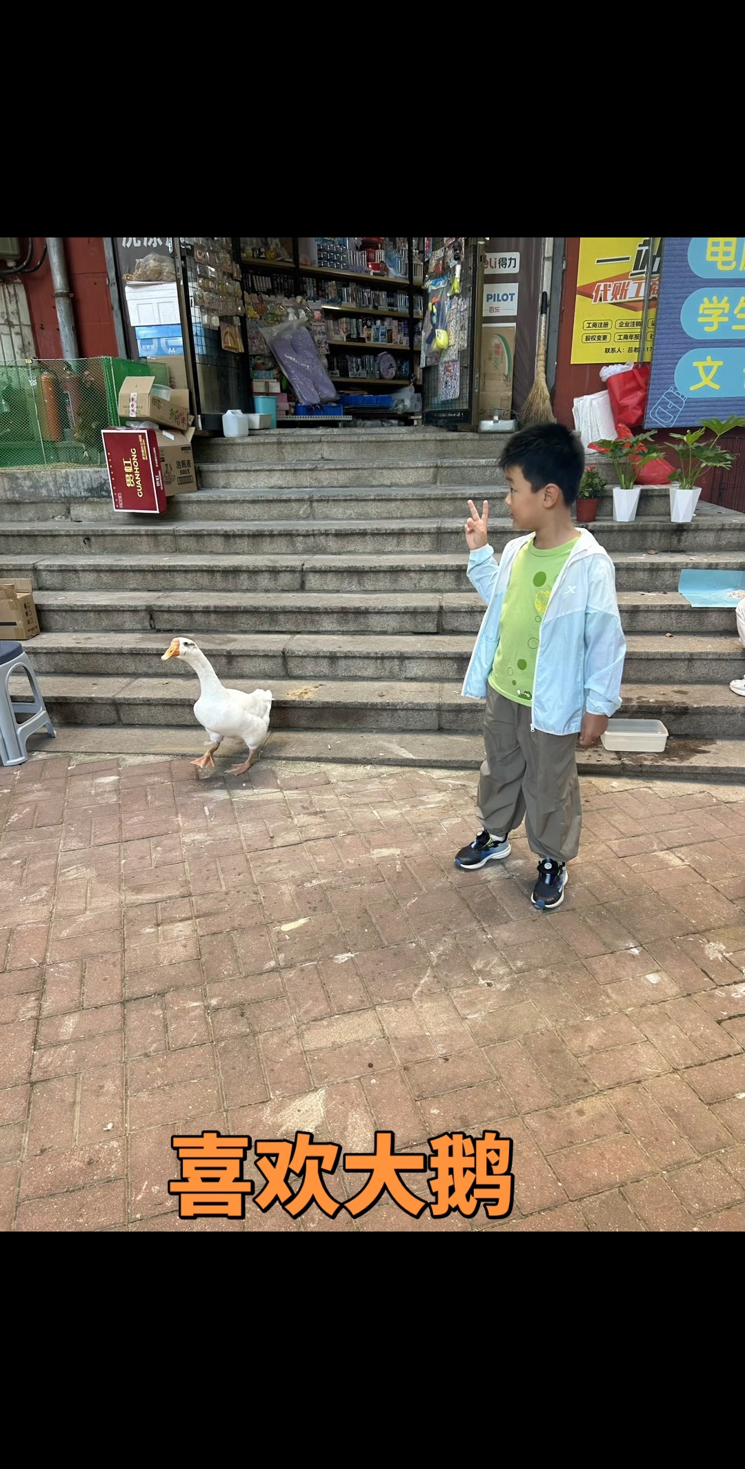 视频 ｜ 喜欢大鹅（斐然拍摄于外孙上学放学的路上）