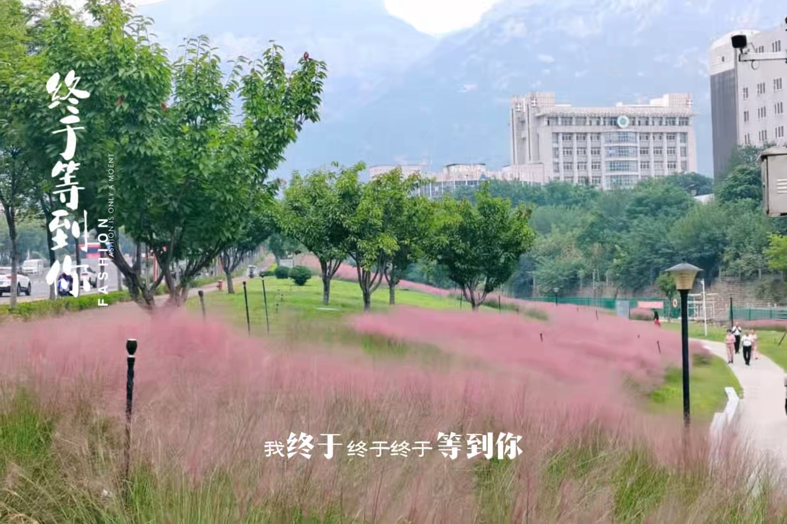 粉色的云霞与泰山中秋相逢.摄影凤凰