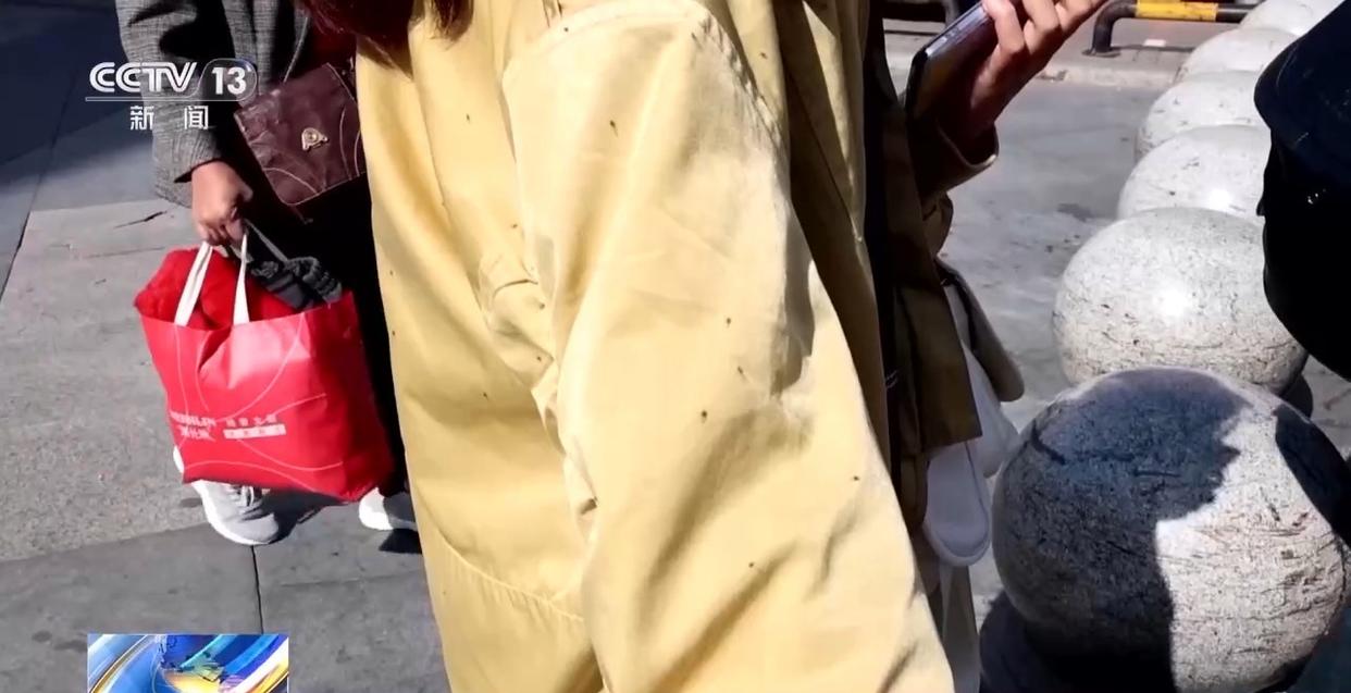 图片加载失败
