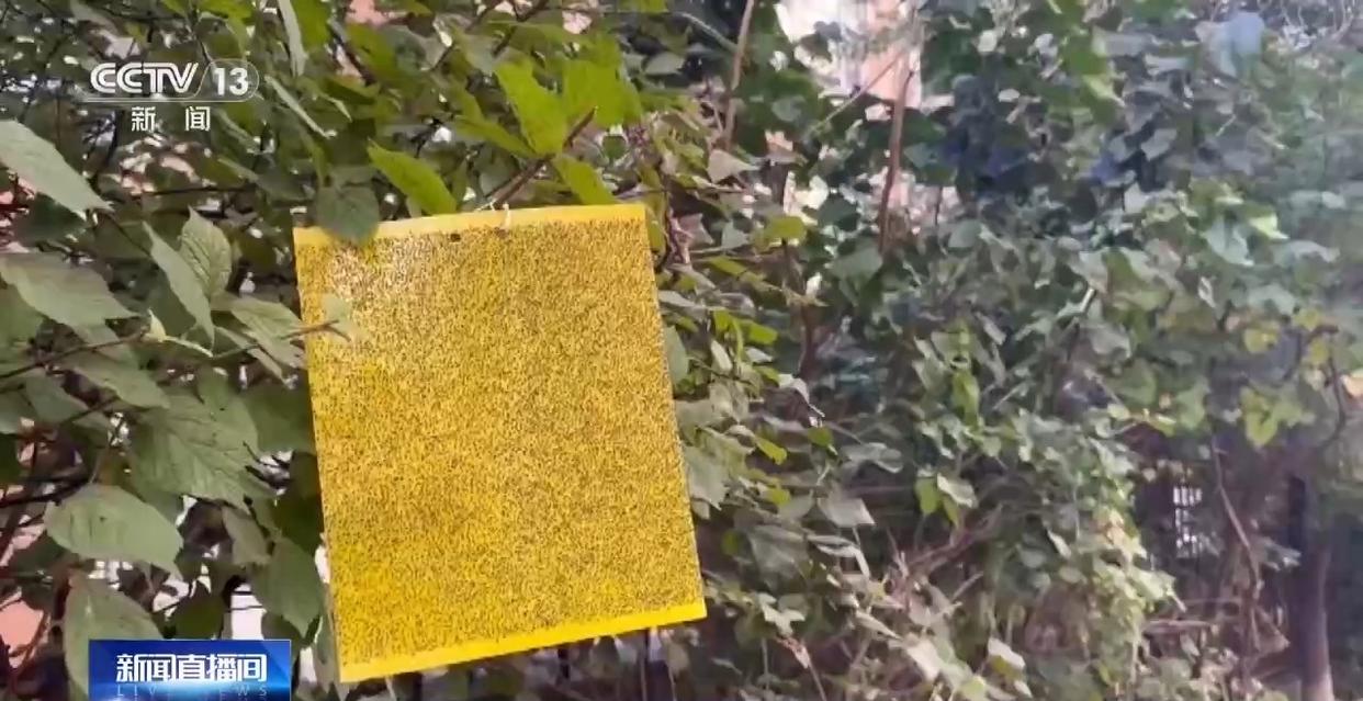 图片加载失败