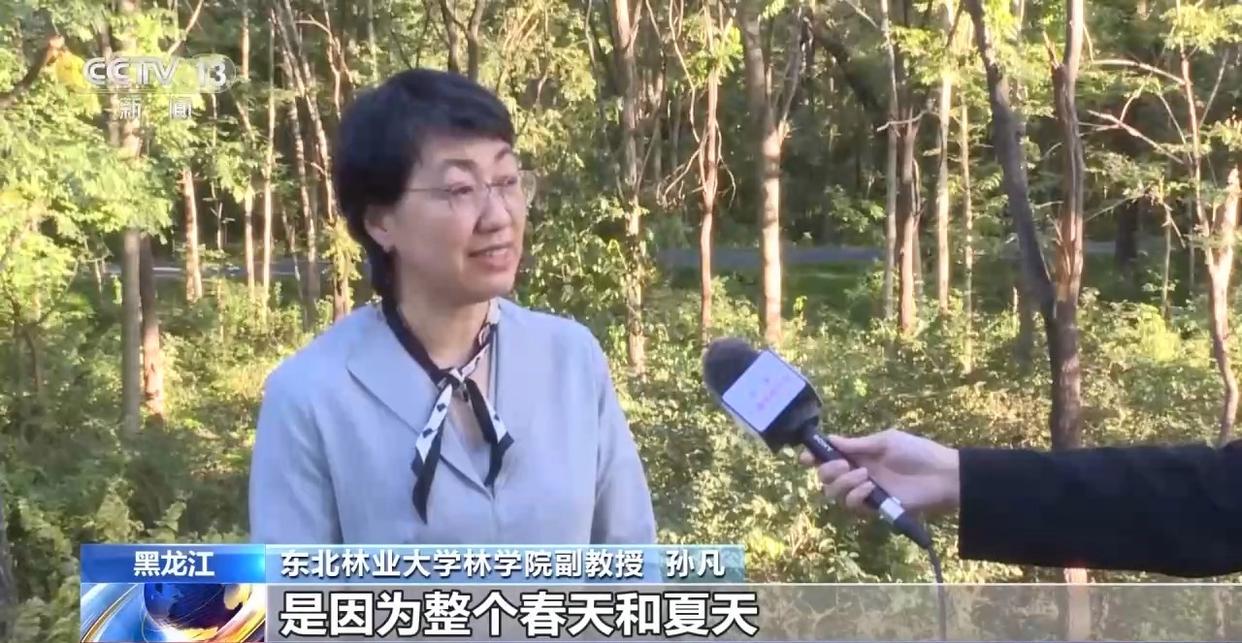 图片加载失败