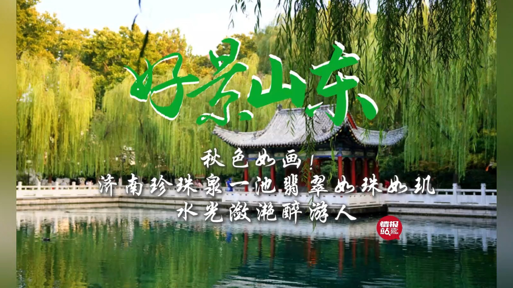 果然视频·好景山东|济南珍珠泉一池翡翠，水光潋滟如珠如玑
