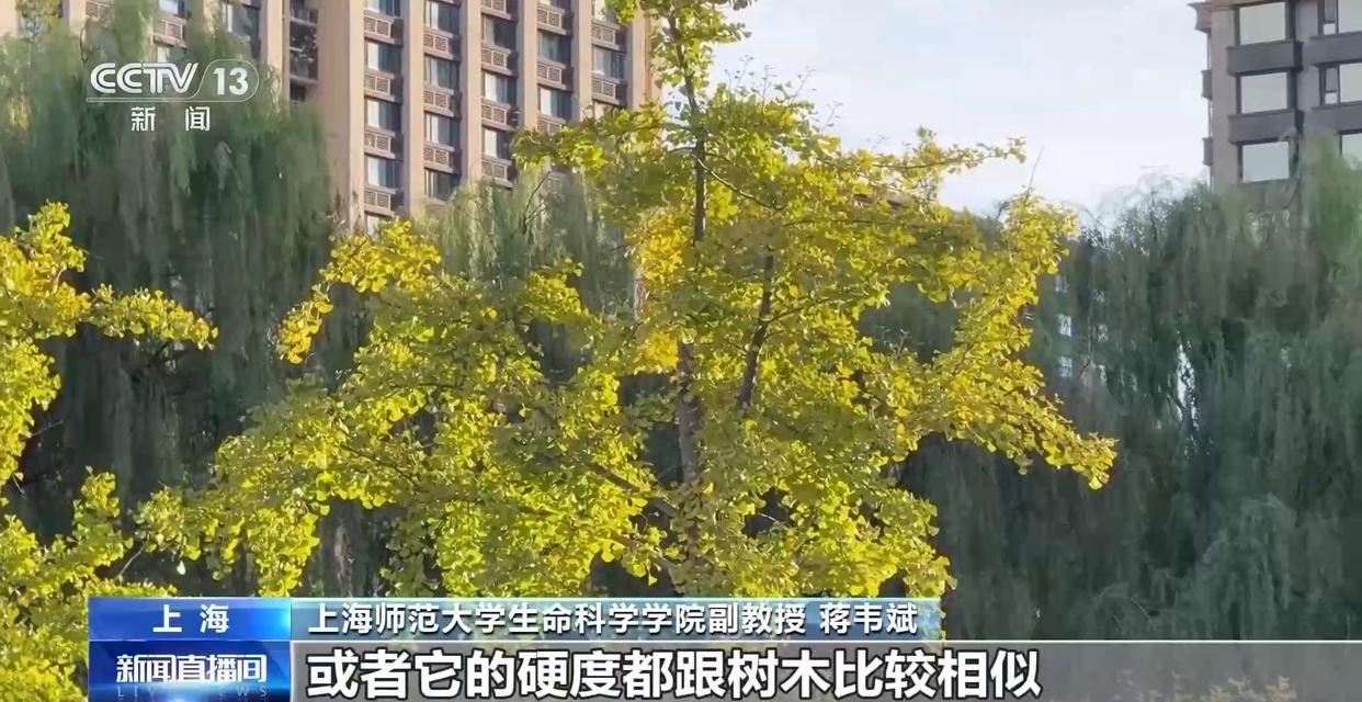 图片加载失败