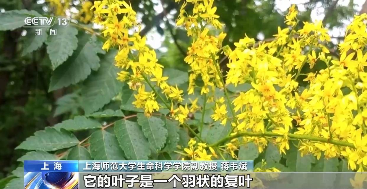 图片加载失败
