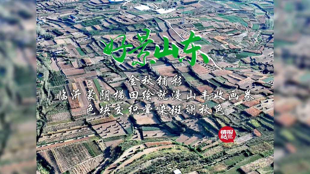果然视频·好景山东|临沂蒙阴梯田“丰”景如画，斑斓秋色惹人醉