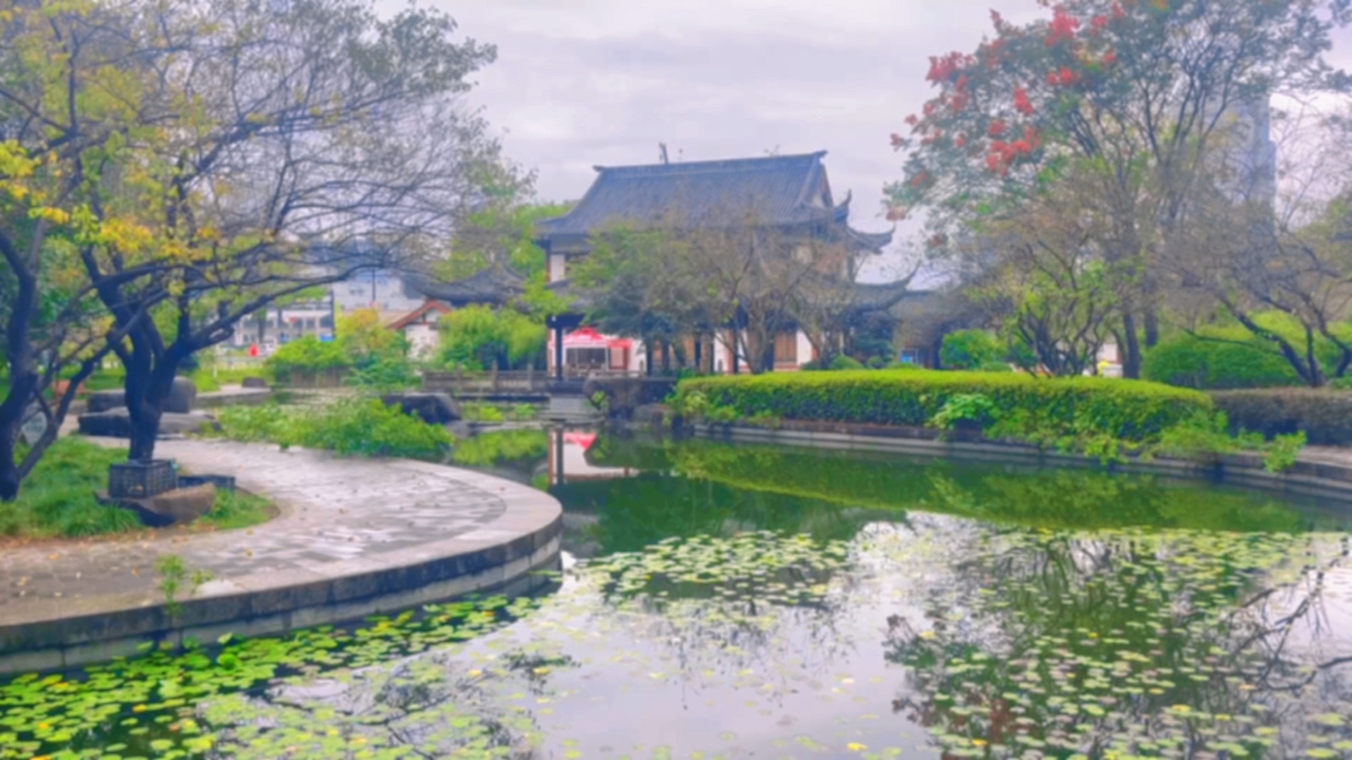  一池清浅水，半部古园秋