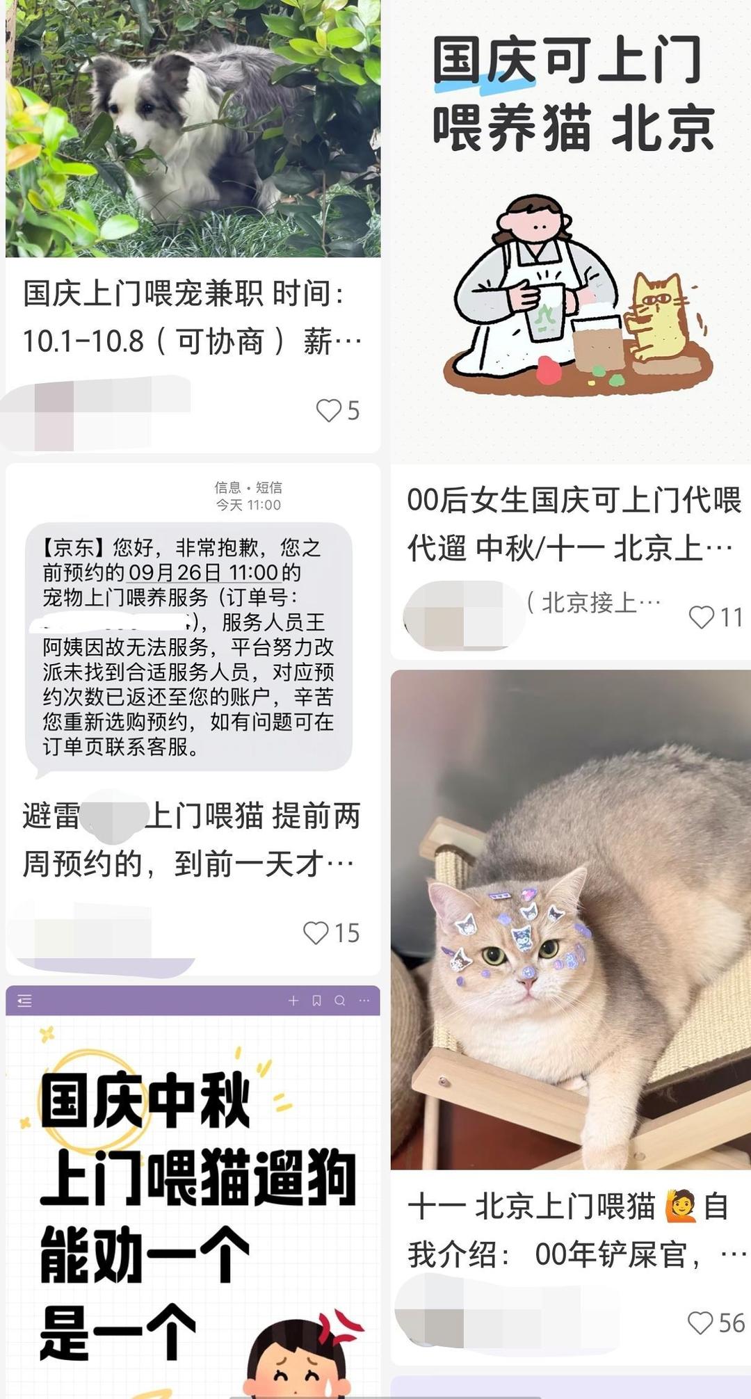 图片加载失败