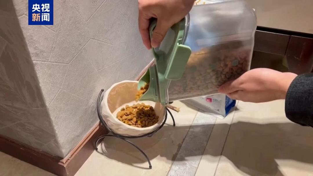 图片加载失败