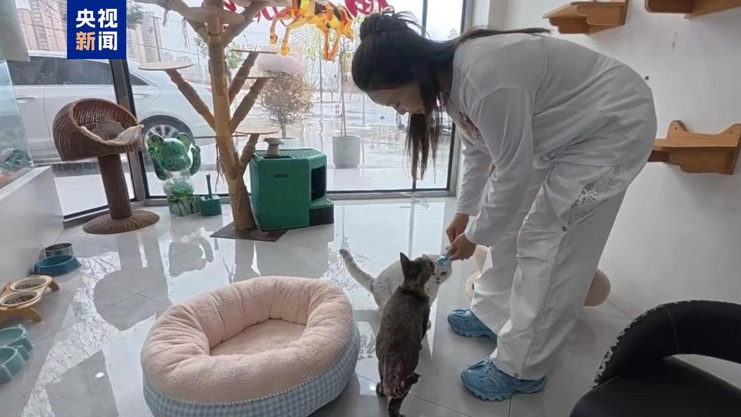 图片加载失败