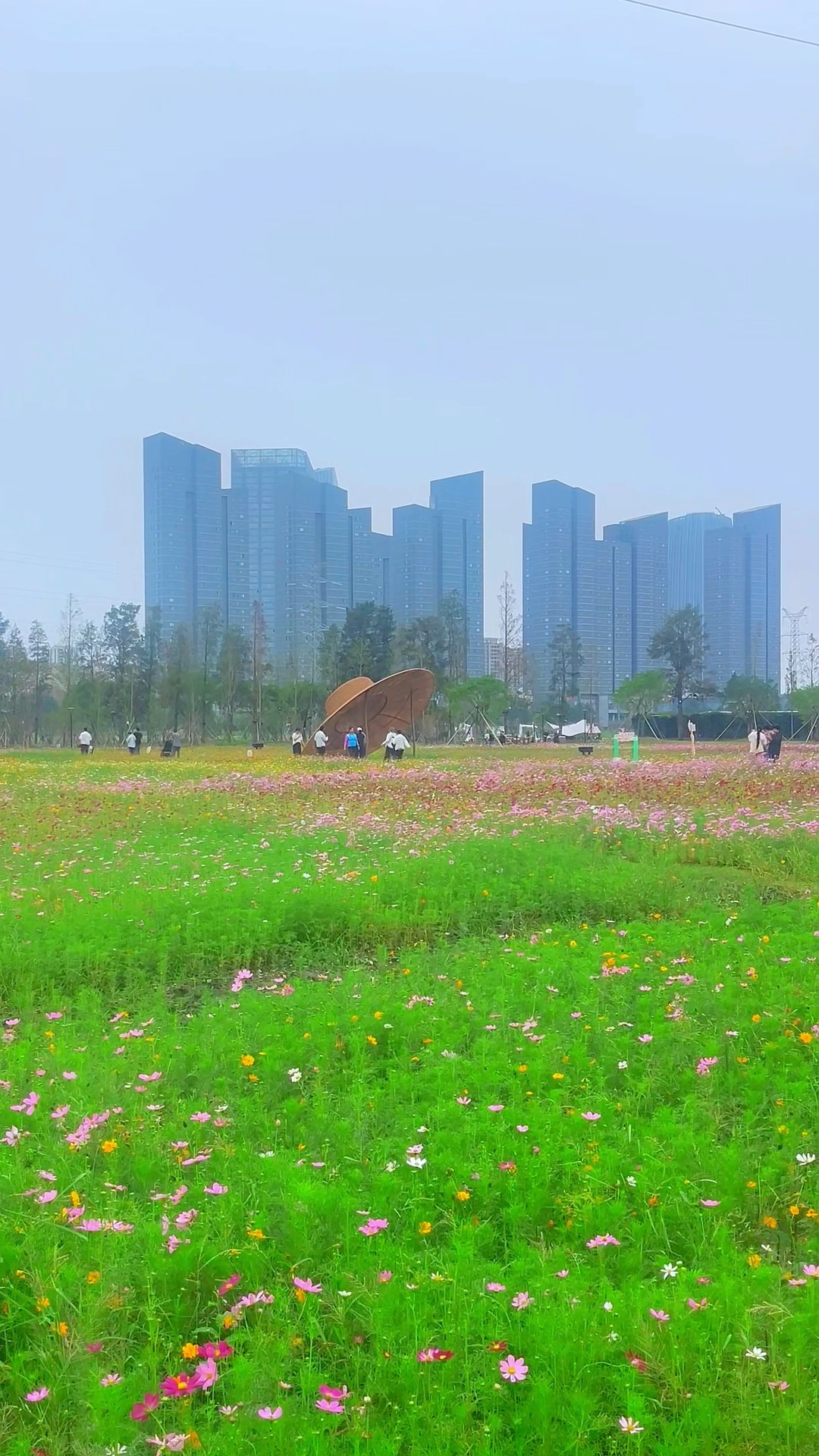 城隅开锦绣，花野沐清秋