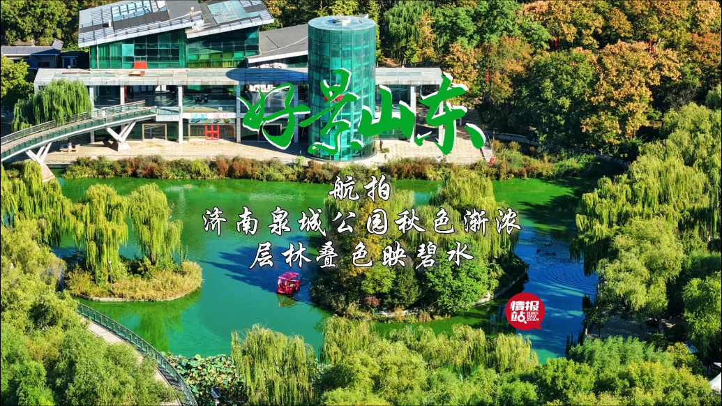 果然视频·好景山东|济南泉城公园秋色渐浓，层林叠色映碧水