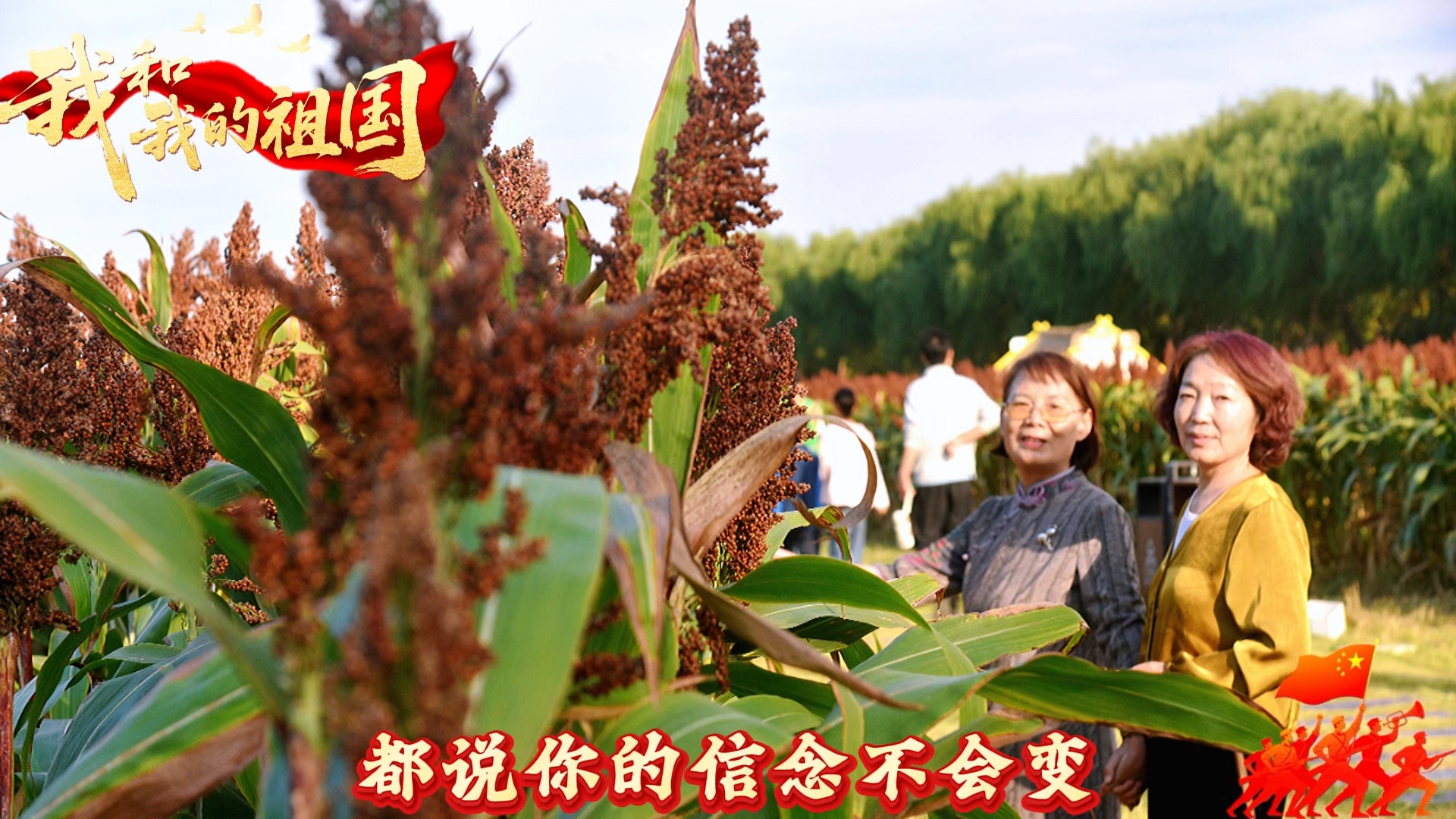 我们的家乡在希望的田野上.摄影岱岳疏影