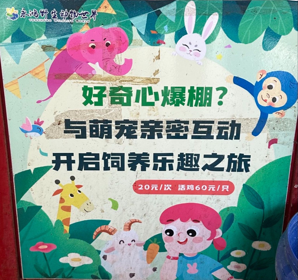 图片加载失败