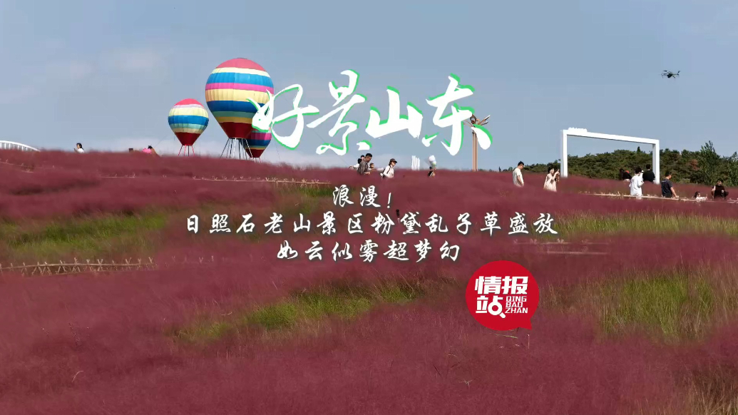 果然视频·好景山东|超梦幻！日照石老山景区粉黛乱子草浪漫盛放